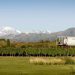 Mendoza & Wines Tours 1 Luján de Cuyo