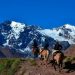 Mendoza & Wines Tours 4 Andean Adventures