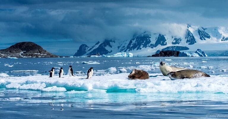 polar-circle-cruise Polar Circle