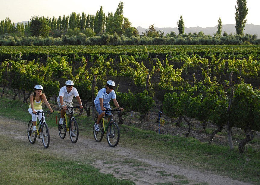 Mendoza Wine Land 2 mendoza-wine-land-bikes